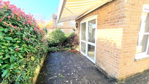 Patio Garden- click for photo gallery